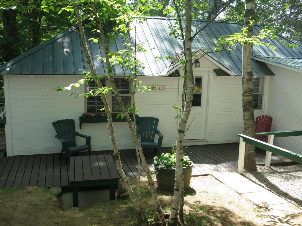 Birch Cliff Lodge On Baptiste Lake Highland Grove Quarto foto