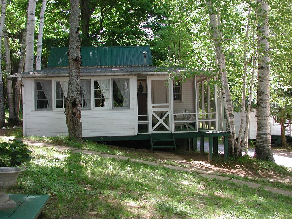 Birch Cliff Lodge On Baptiste Lake Highland Grove Quarto foto